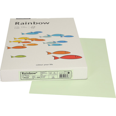 RAINBOW Papier hellgrün/72 A4 88043109 FSC, 120g 250 Blatt