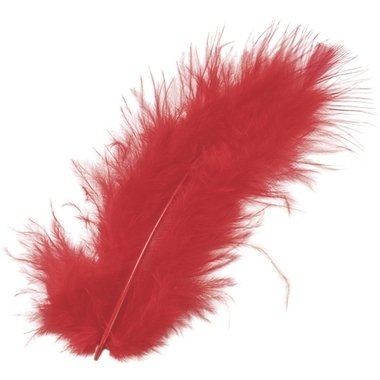 KNORR PRANDELL Plumes marabout 10cm 6619150 rouge 15 pcs.