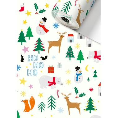 STEWO Apparaterollen Geschenkpapier 2522536960 Rob 0,5x250m