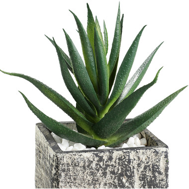 EGLO Pianta artificiale 12cm 428008 verde, in vaso