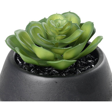 EGLO Kunstpflanze 11cm 428492 grün, im Topf