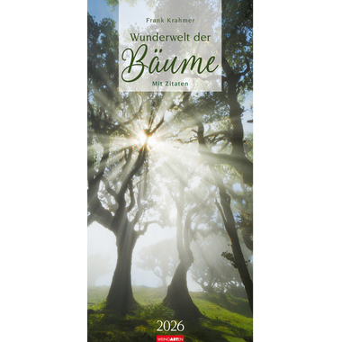 WEINGARTEN Bildkalender 2026 2958600+26 Wunderwelt Bäume DE 33x68cm