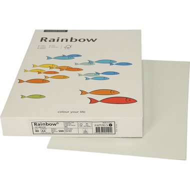 RAINBOW Papier hellgrau/93 A4 88042784 FSC, 80g 500 Blatt