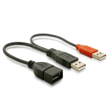 Delock USB 2.0-Y-Cavo USB-A - USB-A 0,22 m