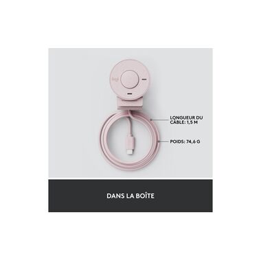 Logitech Webcam Brio 300 Rose