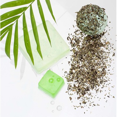 GLOREX Plantain lancéolé 4g 61601106 vert