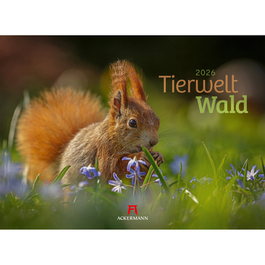 ACKERMANN Bildkalender 2026 2682 Tierwelt Wald D 45x33cm