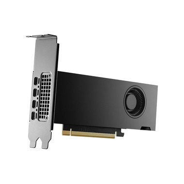 PNY Carte graphique NVIDIA RTX 2000 Ada Generation 16 GB