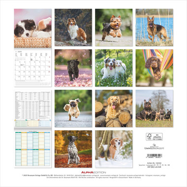 ALPHA EDITION Calendario 2026 160302 Cani ML 30x30cm