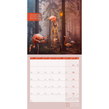 ACKERMANN Calendrier 2026 4633 Alles wird gut ML 30x30cm