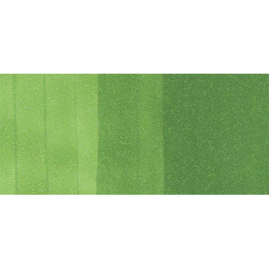 COPIC Marker Sketch 21075141 YG17 - Grass Green