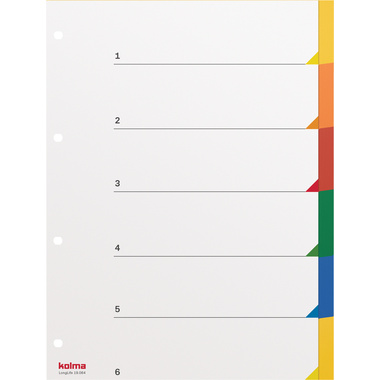 KOLMA Répertoires LongLife A4 19.064.20 multicouleur 6 div.
