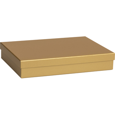 STEWO Box regalo One Colour 2551782093 oro 24x33x6cm