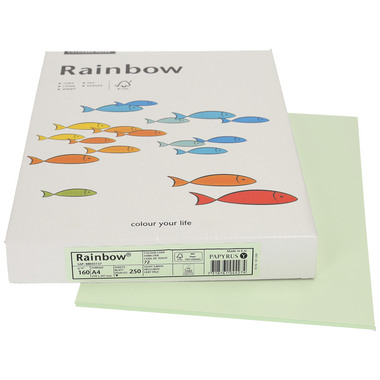 RAINBOW Papier hellgrün/72 A4 88043137 hellgrün, 160g 250 Blatt