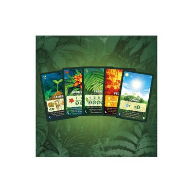 Kosmos family game Canopy