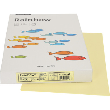 RAINBOW Papier hellgelb/12 A4 88043125 FSC, 160g 250 Blatt