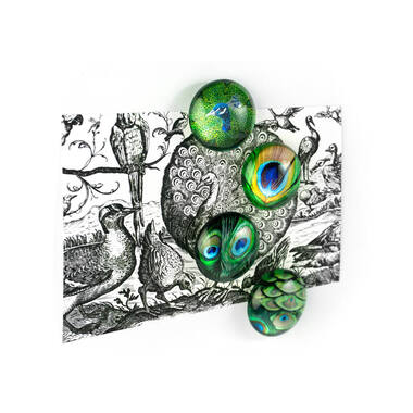 TRENDFORM EYE Aimants PEACOCK EY2020 4 pcs.