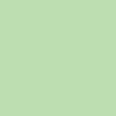 PAPYRUS Rainbow Paper FSC A4 88042630 80g, verde 500 fogli