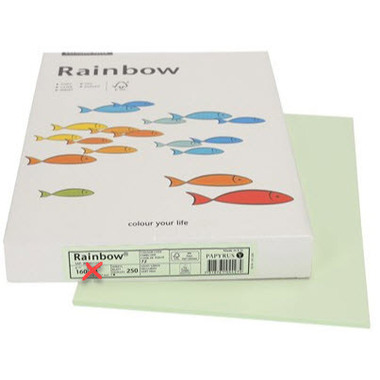 RAINBOW Papier hellgrün/72 A3 88042594 FSC, 160g 250 Blatt