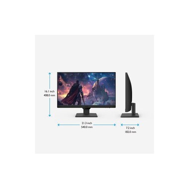 BenQ Monitor GW2490