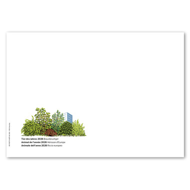 Busta primo giorno «Animale dell’anno 2026 – Riccio europeo» Busta primo giorno (FDC) senza francobollo C6