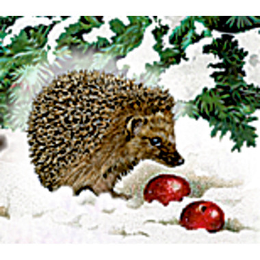 COPPENRATH Adventskalender 38x60cm 71890 Eisenbahn Tanne