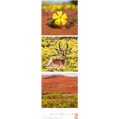 ACKERMANN Calendario 2026 2656 Nature ML 33x100cm