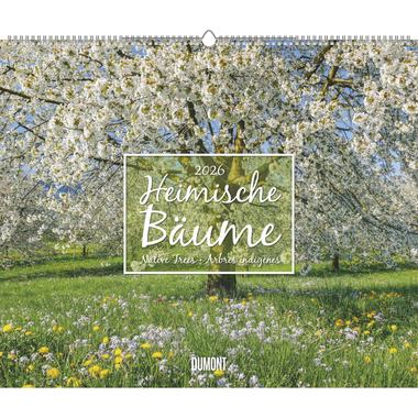 DUMONT Calendrier 2026 260364 Arbres ML 58.4x48.5cm
