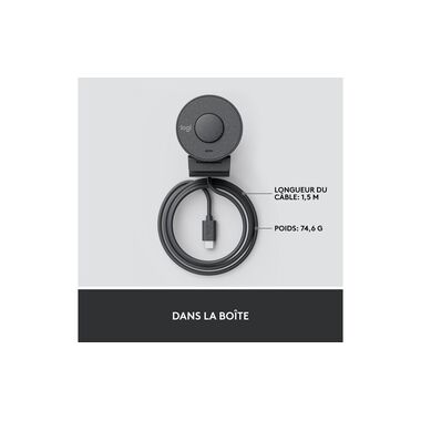 Logitech Webcam Brio 300 Grafite