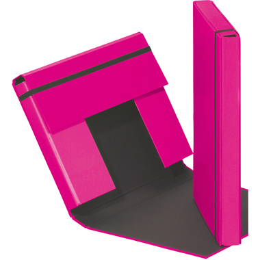 PAGNA Sammelbox Trend A4 21308-34 Gummizugverschluss rosa