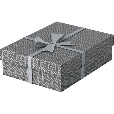 ESSELTE Aufbewahrungsboxen Home M 628285 365x265x100mm, grau 3 Stk