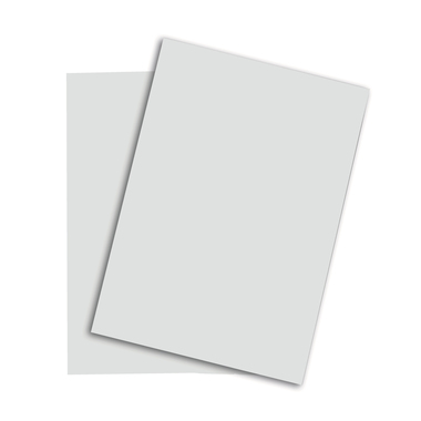 RAINBOW Papier hellgrau/93 A4 88043146 FSC, 160g 250 Blatt