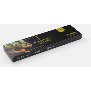 TALENS Couleur nacrée Finetec box F0602 Essentials Cool 6 couleurs