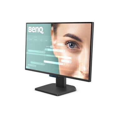 BenQ Monitor BL2490C