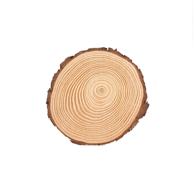 GLOREX Rondelle en bois 15x1.5cm 67026751