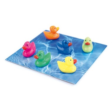 TRENDFORM Calamite DUCK FW3526 6 pezzi ass.