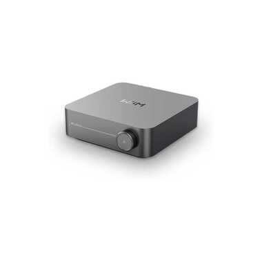 WiiM Lecteur audio réseau Amp Gris