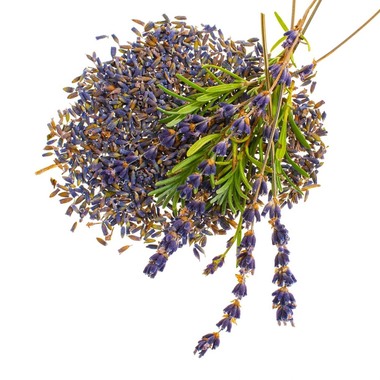 GLOREX Fleurs de lavande 4g 61601105 violet