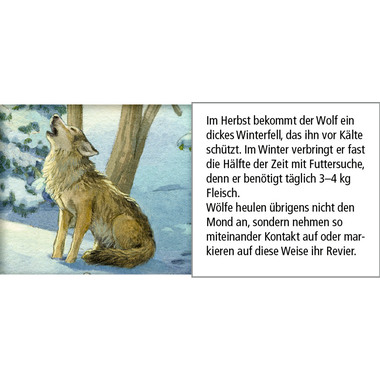 COPPENRATH Adventskalender 52x38cm 72257 Hört ihr die Tiere im Wald