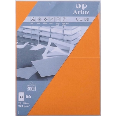 ARTOZ Karten 1001 E6 107372265 220g, orange 5 Blatt