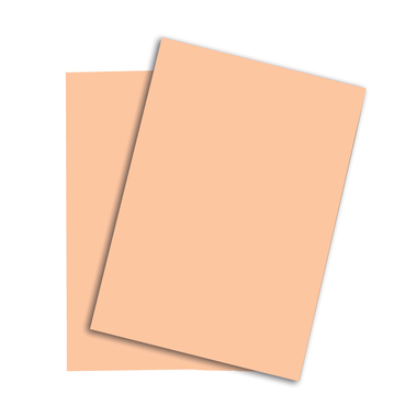 RAINBOW Papier lachs/40 A3 88042503 120g, lachs 250 Blatt