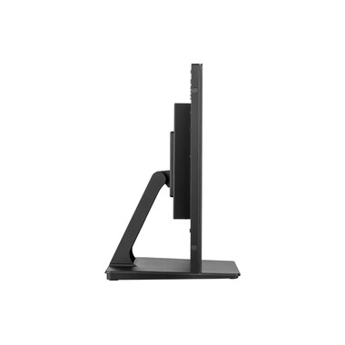 iiyama Monitor ProLite T2438MSC-B1