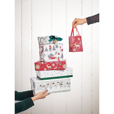 STEWO Geschenkpapier Xander 2522563920 rot 0.5x250m