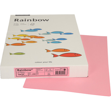 RAINBOW Carta rosa/55 A4 88043135 FSC, 160g 250 fogli