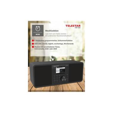 Telestar Internet Radio TOP 250 Nero
