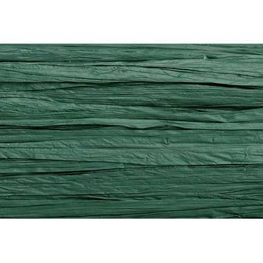 KNORR PRANDELL Rafia 30m 8533044 verde scuro mat