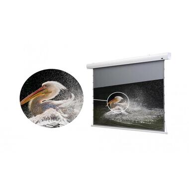 Celexon Tension-Schermo HomeCinema Dynamic Slate ALR 298x168cm 16:9