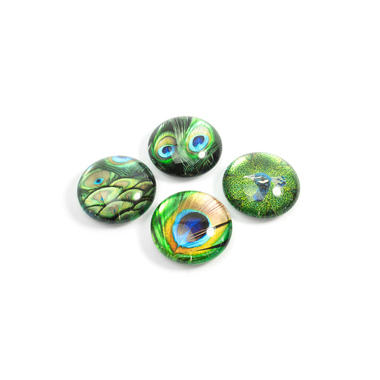 TRENDFORM EYE Aimants PEACOCK EY2020 4 pcs.