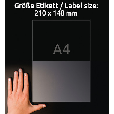 AVERY ZWECKFORM Étiquettes L8012-10 Antimic. 210x148mm transp.