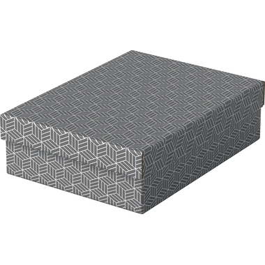 ESSELTE Aufbewahrungsboxen Home M 628285 365x265x100mm, grau 3 Stk